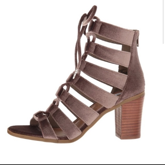 Steve Madden Bensin Heels Strappy Lace Up 8.5 Velvet Taupe Brown Sexy Club Party - Picture 2 of 8
